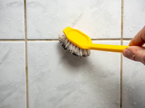 Best Mold Remediation for Specific Building Types in Hereford, TX